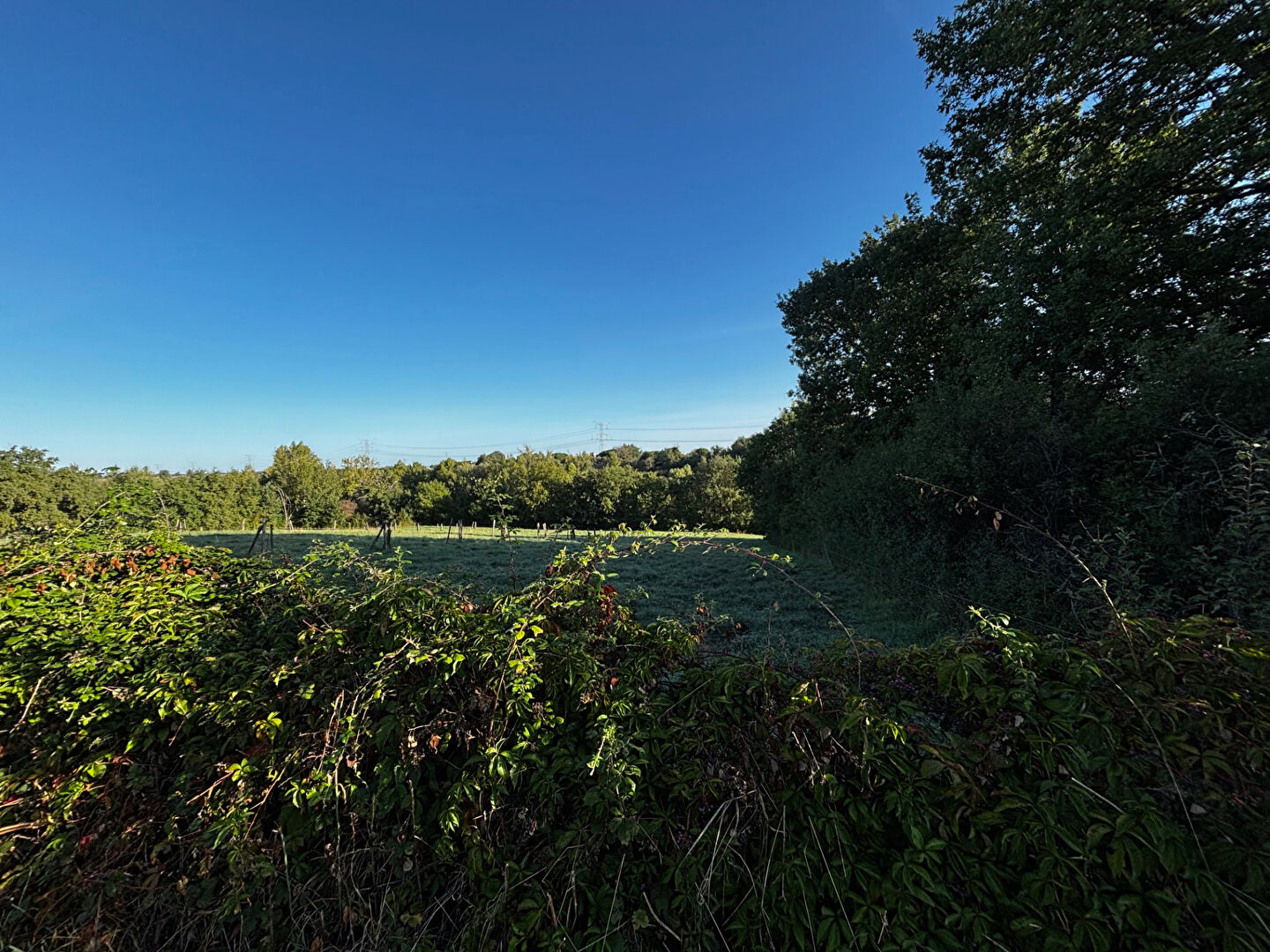 
VERDUN-SUR-GARONNE
